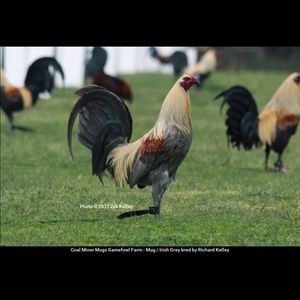 Meet your Posher, Denmark